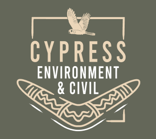 Cypress Environment and Civil